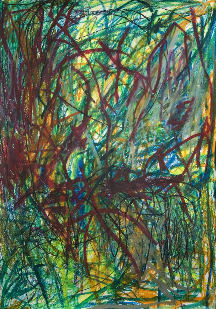 Hernan Cedola, HC3056, 2011, Oil pastel on paper, Paper: 53 x 37 in.