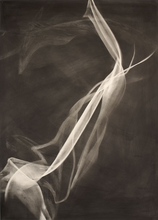 Sheinkman, Mark 1963-, Druxton, 2007, graphite on paper, Object: 29 x 21 in.