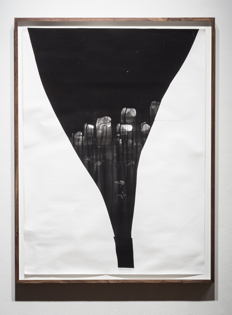Sheree Hovsepian, Deluge, 2014, unique silver gelatin photogram, Overall: 43 x 32 in.